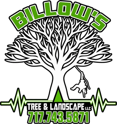 Billow's Tree & Landscape, LLC