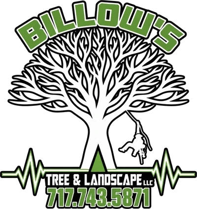 Billow's Tree & Landscape, LLC