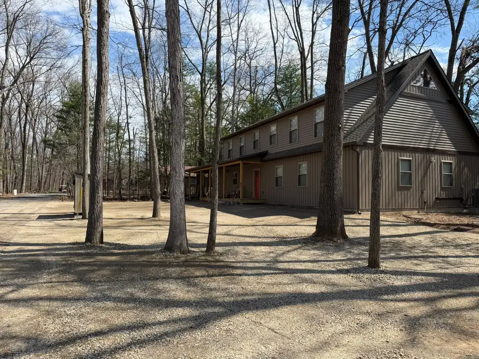 Cleared lot under tall trees