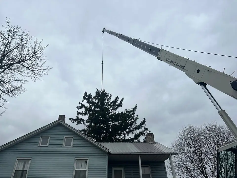 Crane boom reaching over a house roof to a tree in the backyard