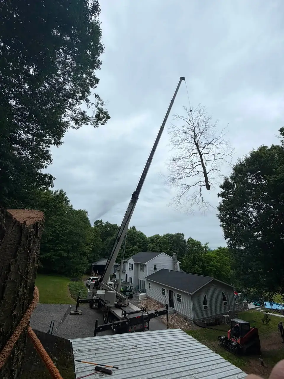 Crane lifting a whole tree over a house