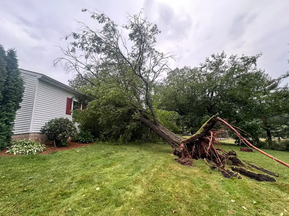 Tree leaning toward the side of a house